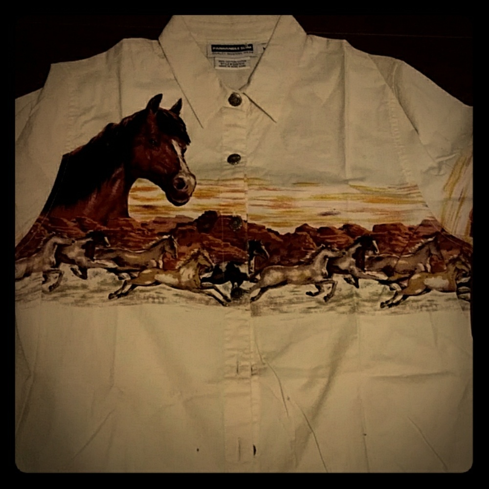 Cowgirl shirt